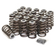 XDP PERFORMANCE VALVE SPRINGS & RETAINERS